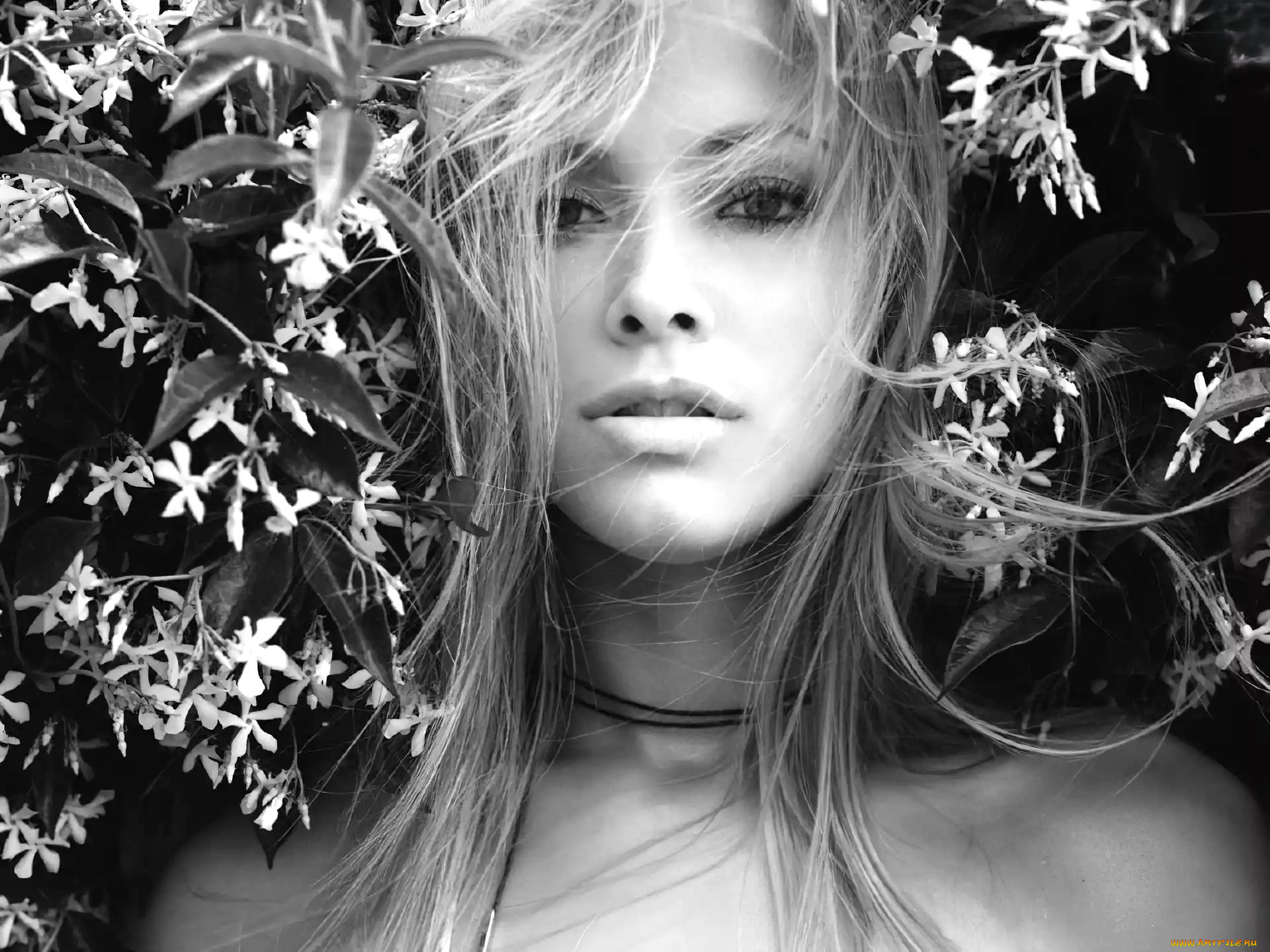 , kristanna loken, -, , , 